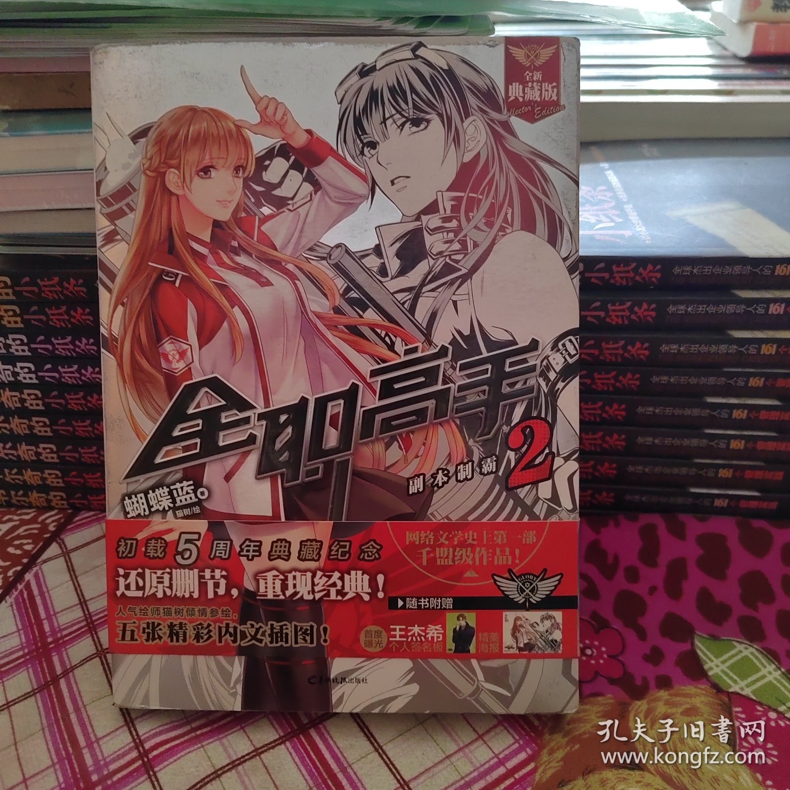 全职高手 2：副本制霸