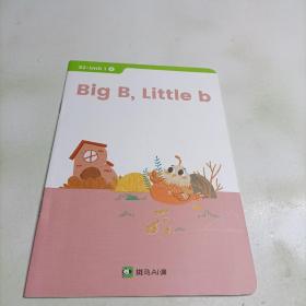 斑马AI课:big  b