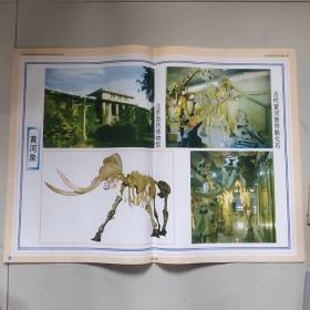 义务教育课程标准实验教材配套挂图语文五年级上册:黄河象(两开1幅)