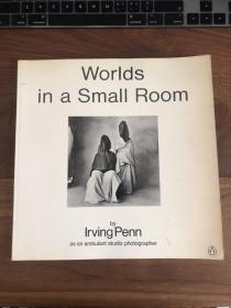Irving Penn Worlds in a Small Room 摄影画册