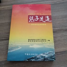 骄子足迹：政协委员企业家剪影