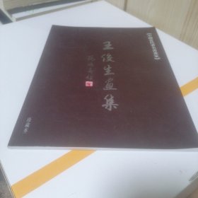 王俊生画集