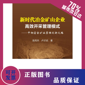新時代冶金礦山企業(yè)高效開采管理模式:中鋼富全礦業(yè)管理創(chuàng)新之路 9787502479787