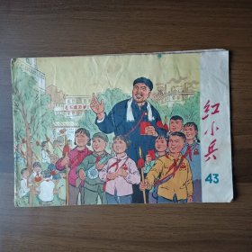 红小兵 1969年总第43期