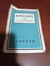 脉搏示意图说