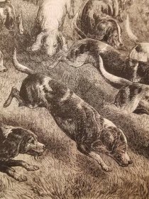 猎犬十九世纪欧洲古董木刻版画西洋版画欧式装饰画