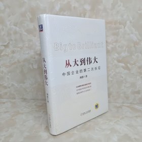 从大到伟大：中国企业的第二次长征