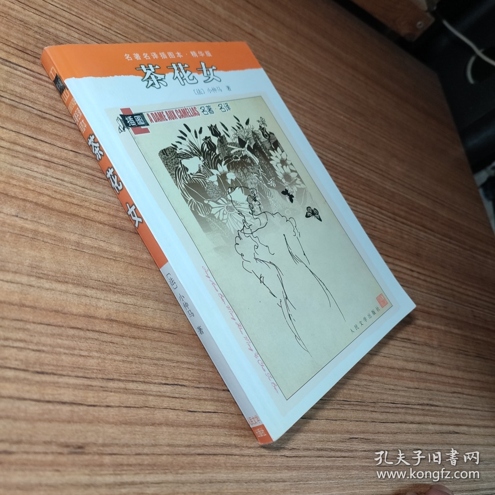 名著名译插图本：茶花女（无笔迹）