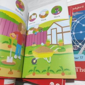 全英文儿童英语学习书籍，分级阅读系列趣味插图绘本  瓢虫读者(阅读器)Ladybird  Readers 入门级全套1-17全+分级1级15本不重复共32本合售  具体单册书名见书影