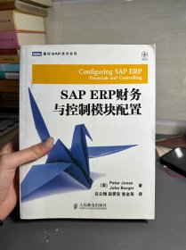 SAP ERP财务与控制模块配置