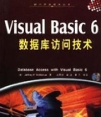 Visual Basic 6数据库访问技术