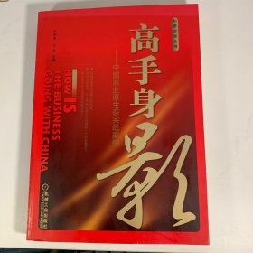 高手身影：中国商业原生态实战案例