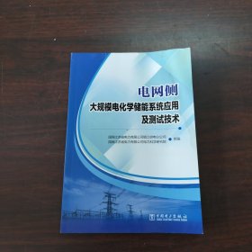 电网侧大规模电化学储能系统应用及测试技术