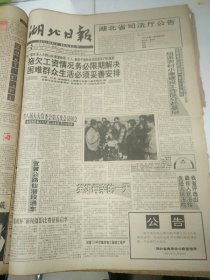 湖北日报1994年1月26日