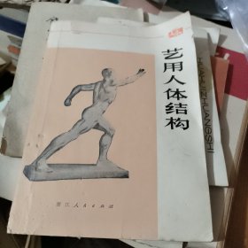 艺用人体结构