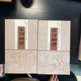 唐诗宋词画谱2册全