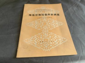 中国少数民族社会历史调查资料丛刊 维吾尔族社会历史调查