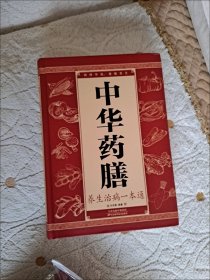 中华药膳养生治病一本通 食疗中医养生大全中药汤膳药膳食谱