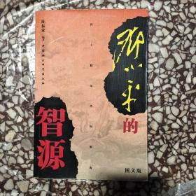 小平的智源(图文版，大精深浩如烟海原价36元)