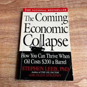 The Coming Economic Collapse（书名以图片为准）