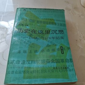 历史在这里沉思6