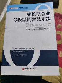 成长型企业Q板融资智慧系统