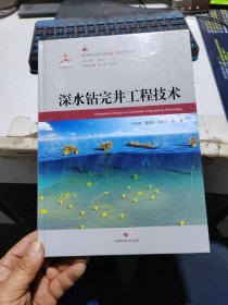 深水钻完井工程技术(海洋深水油气田开发工程技术丛书)