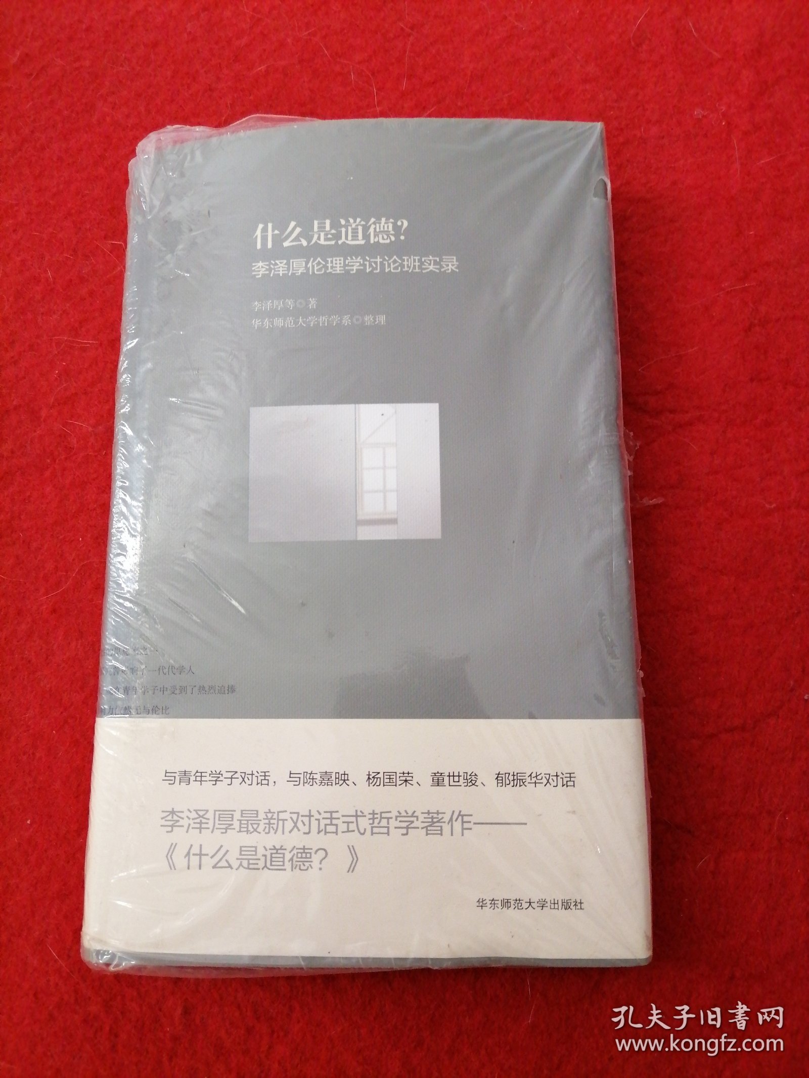 什么是道德？李泽厚伦理学讨论班实录