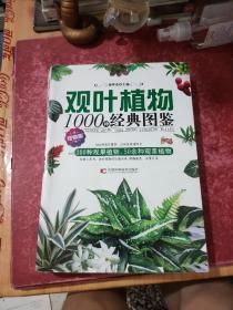 观叶植物1000种经典图鉴