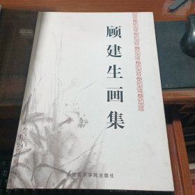 顾建生画集