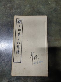 胡大川先生幻想诗