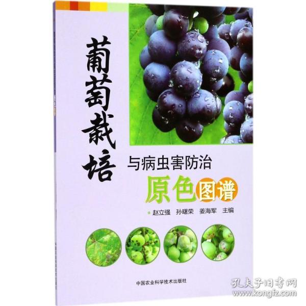 葡萄栽培与病虫害防治原色图谱