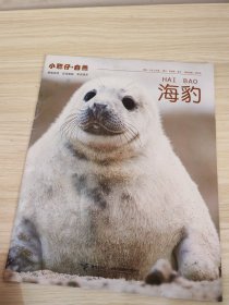 小聪仔自然 海豹