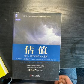 估值：难点、解决方案及相关案例（原书第2版）