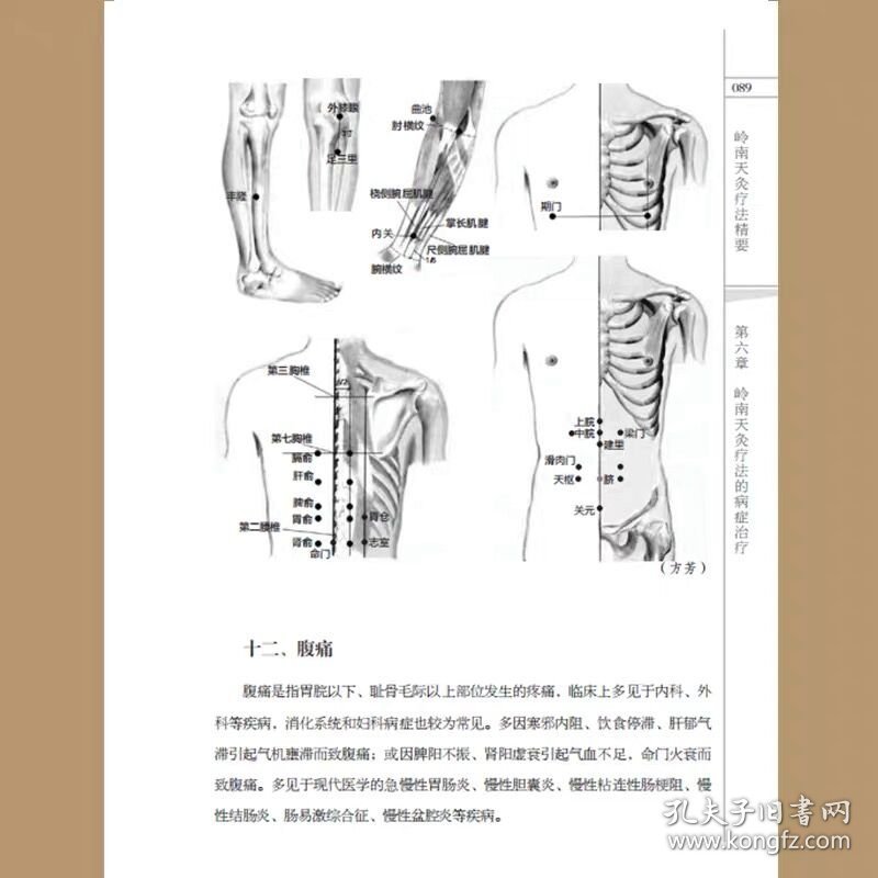 岭南天灸疗法精要符文彬广东科技出版社有限公司9787535971678