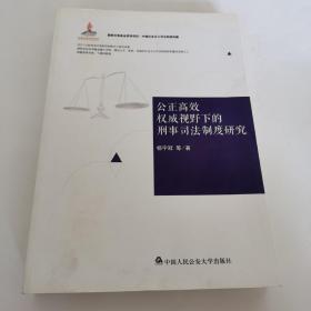 中国社会主义司法制度构建：公正高效权威视野下的刑事司法制度研究