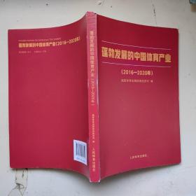 蓬勃发展的中国体育产业2016-2020