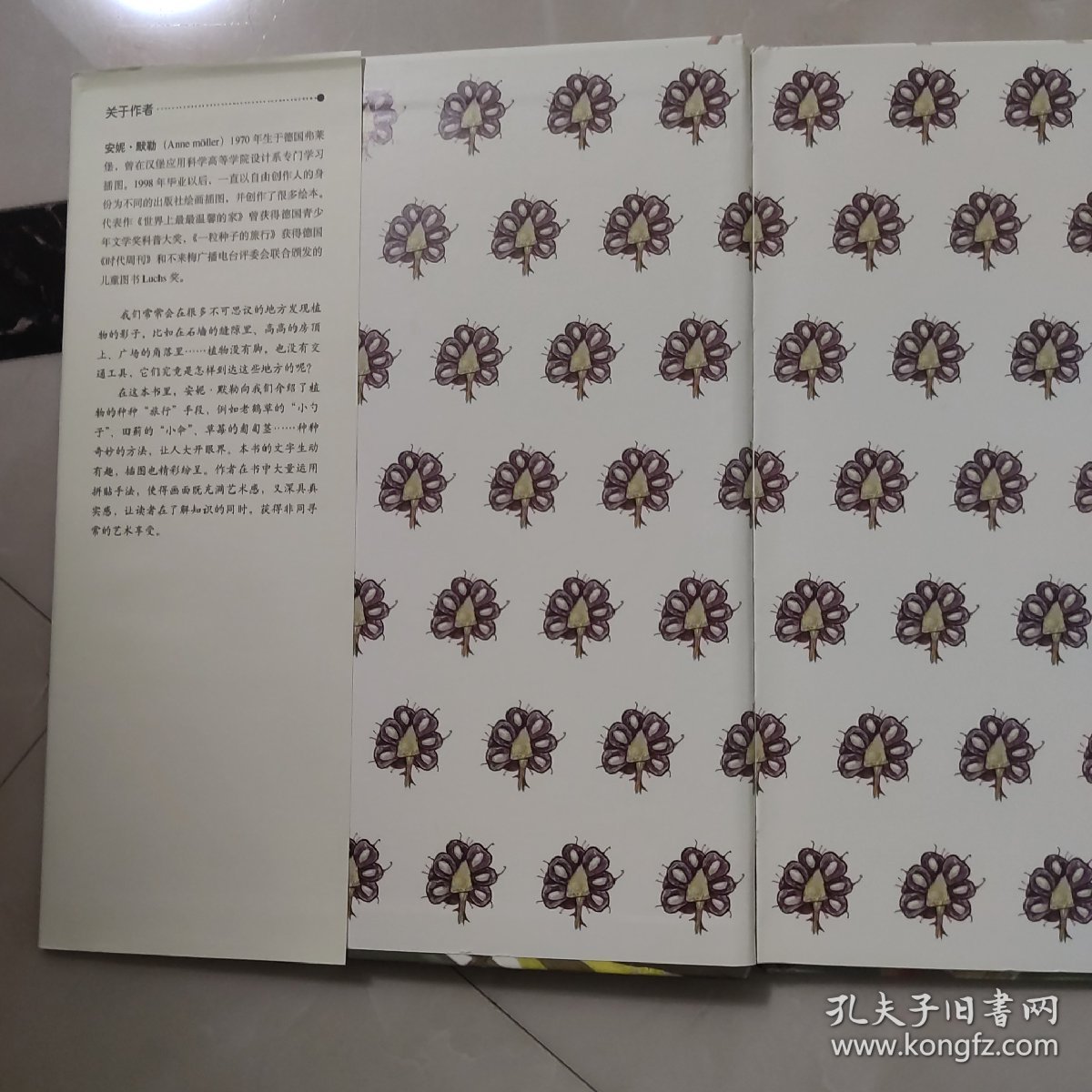 一粒种子的旅行
