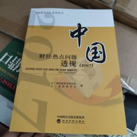 中国财经热点问题透视