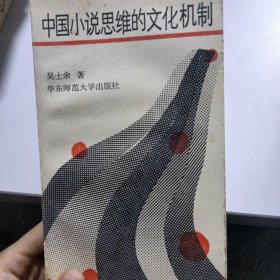 中国小说思维的文化机制