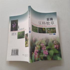 云南豆科牧草（84品大32开2005年1版1印1000册203页16万字）54127