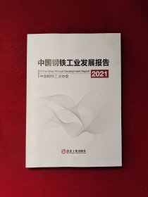 中国钢铁工业发展报告2021