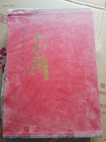 一套库存 中国近现代名家书画 范扬 中国当代美术大系 范扬 卷一 共两本 （品相如图）特价148包邮4号树林