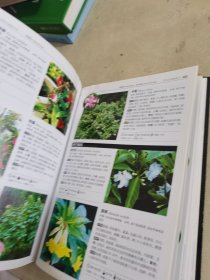 花草树木图鉴大全