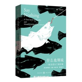 什么也别说(一桩北爱尔兰谋杀案)