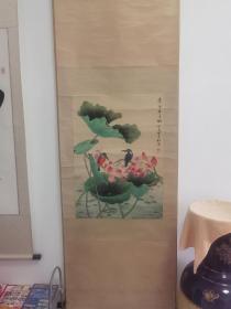 田世光款画鸟荷花图老字画一幅品相完美年代久远