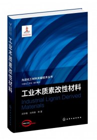 先进化工材料关键技术丛书--工业木质素改性材料