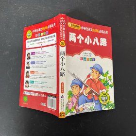 两个小八路 彩图注音版