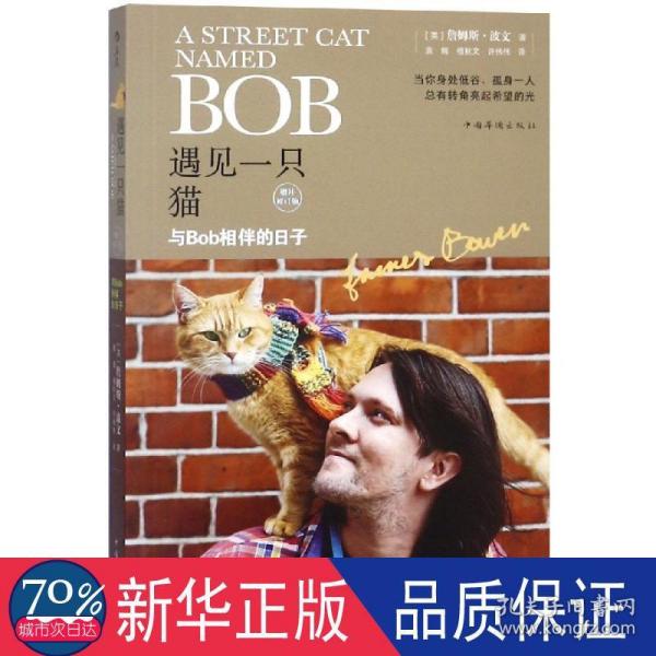 遇见一只猫:与Bob相伴的日子