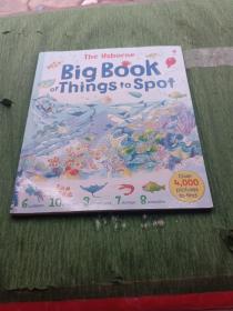 The Usborne Big Book of Things to Spot